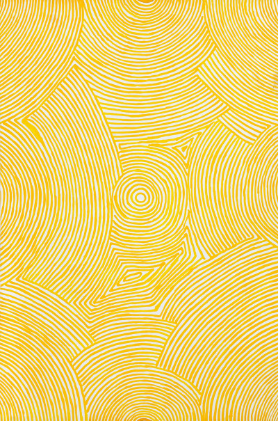 Image for Lot Janie Petyarre - Untitled (Yellow)