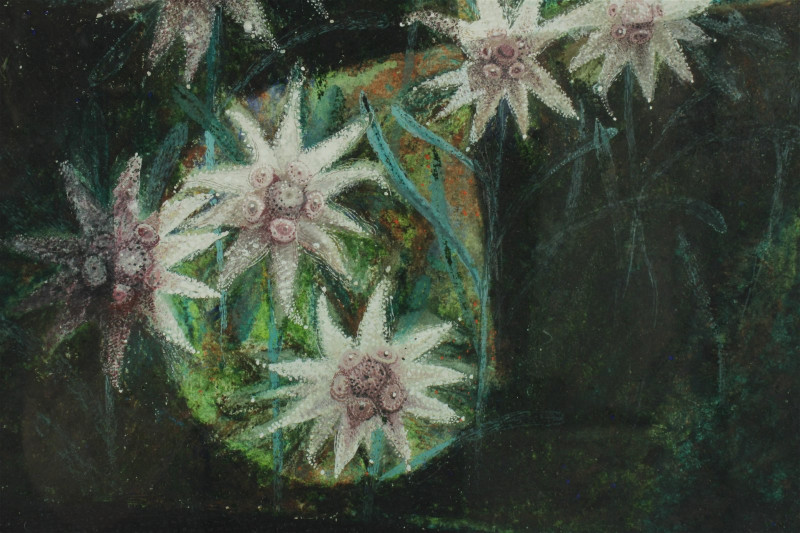 Edward John Stevens - Water Lilies - Gouache