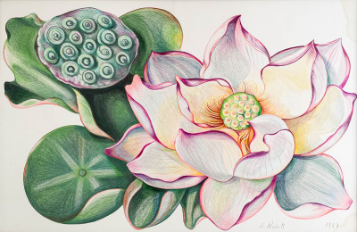 Lowell Nesbitt - Waterlily and Flower