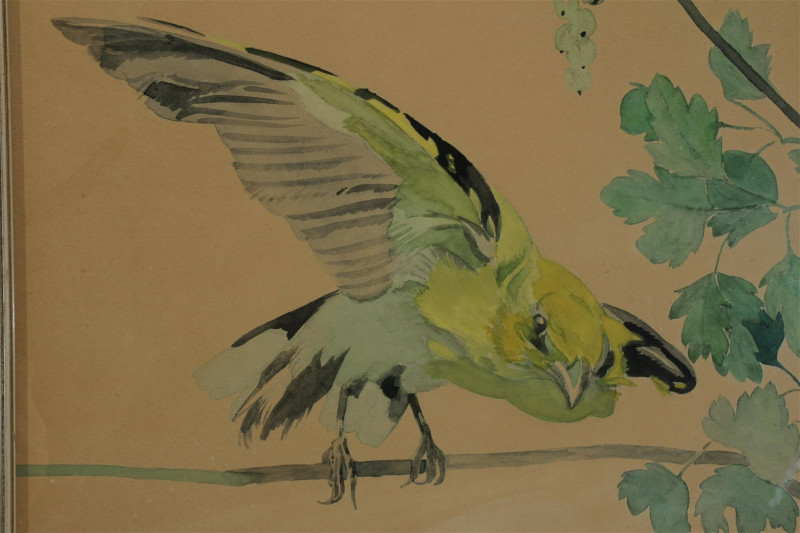 Two Julius Moessel - Birds- gouache