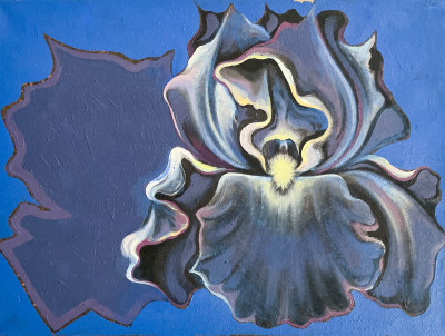 Image for Lot Lowell Nesbitt - An Iris and its Shadow