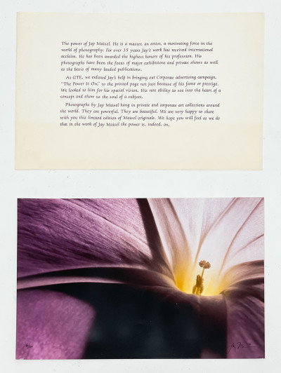 Jay Maisel - The Power is On, Set of 5