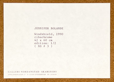 Jennifer Bolande - Windshield