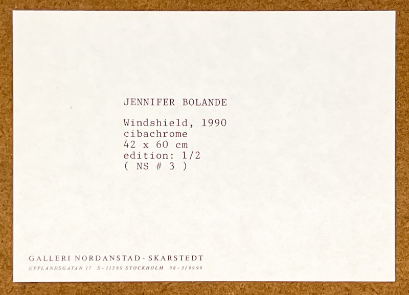 Jennifer Bolande - Windshield