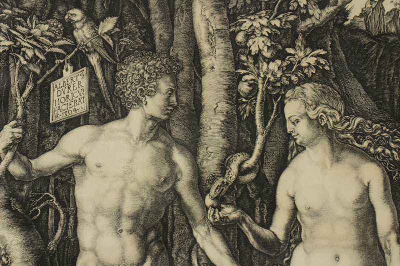 Albrecht Durer - Adam and Eve