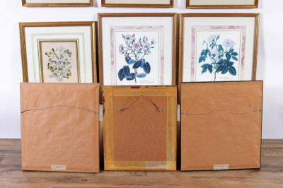 Classic Botanical and Butterfly Decorator Prints
