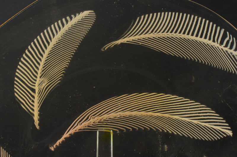 Attr. Archimede Seguso - Feather Glass Plate
