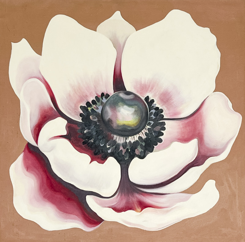 Lowell Nesbitt - White and Pink Anemone