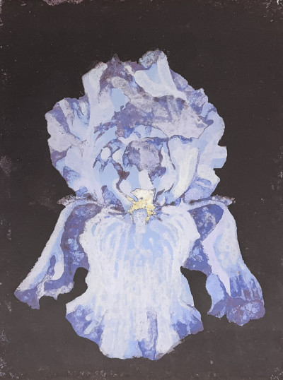 Lowell Nesbitt - Untitled (Iris)