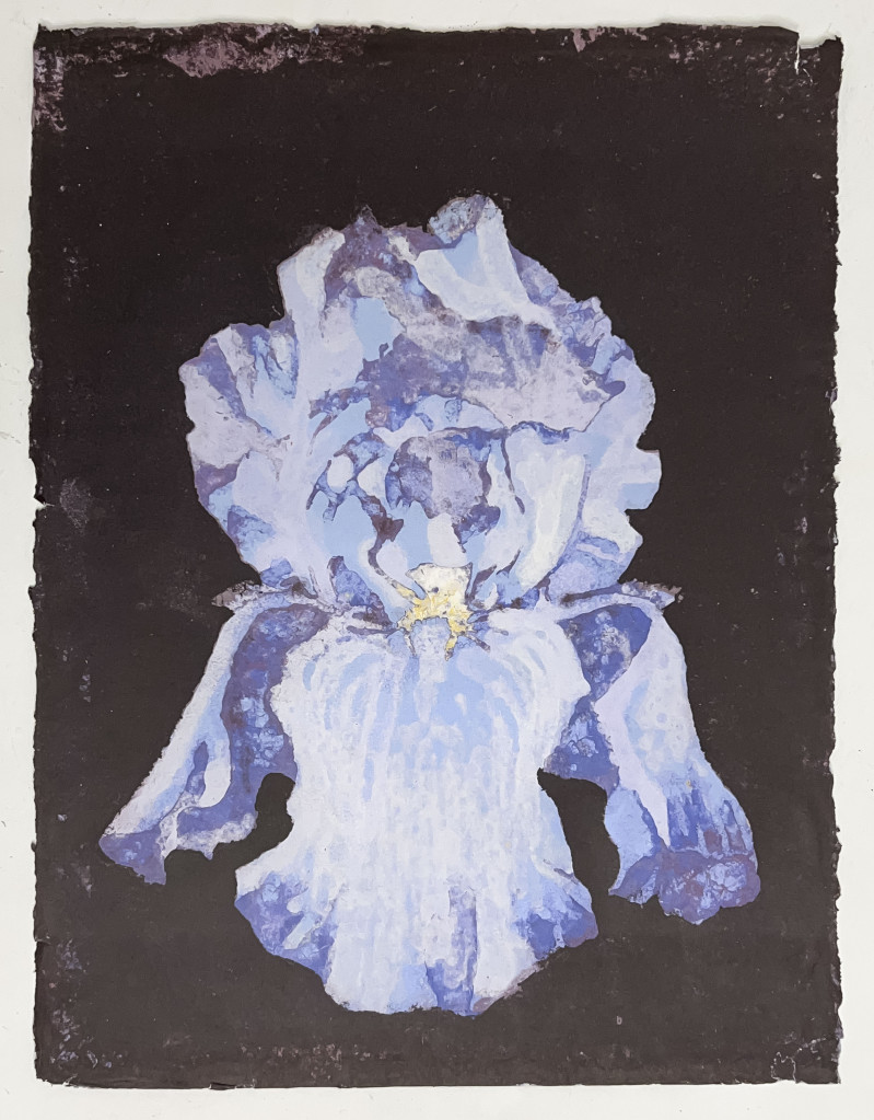 Lowell Nesbitt - Untitled (Iris)