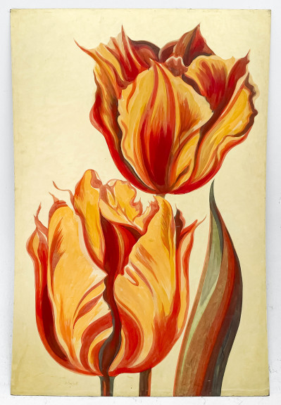 Lowell Nesbitt - Untitled (Tulips)