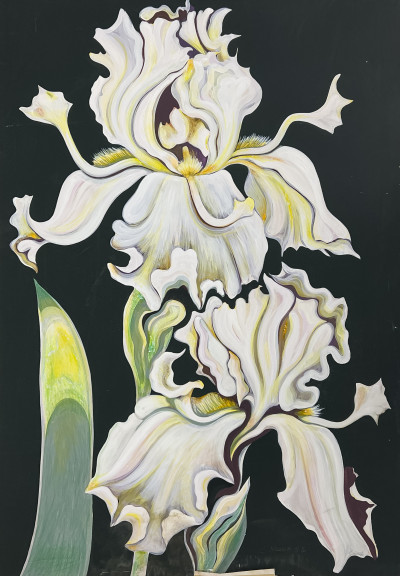 Lowell Nesbitt - Untitled (Irises)
