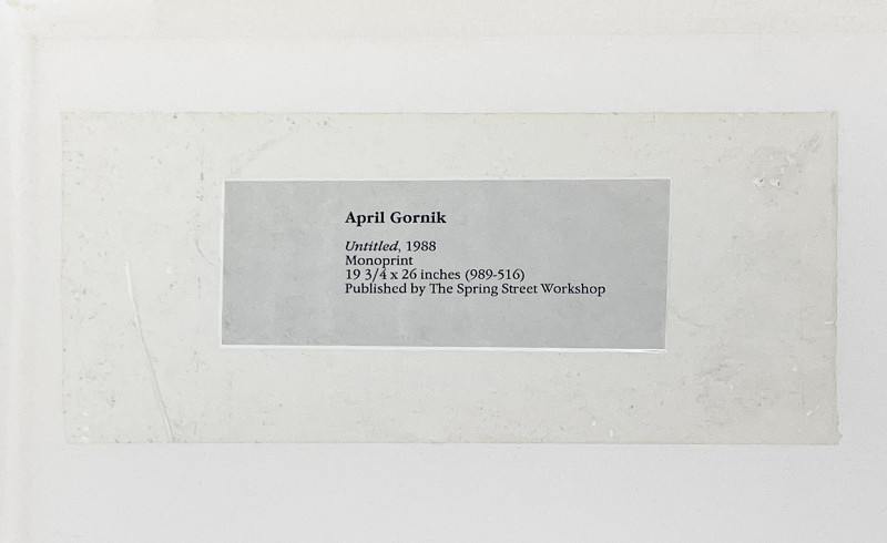 April Gornik - Jan 25 1988 (989-516)