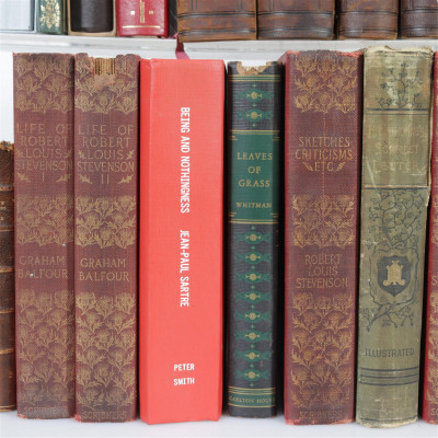 Antique And Modern Books Home Library Collection