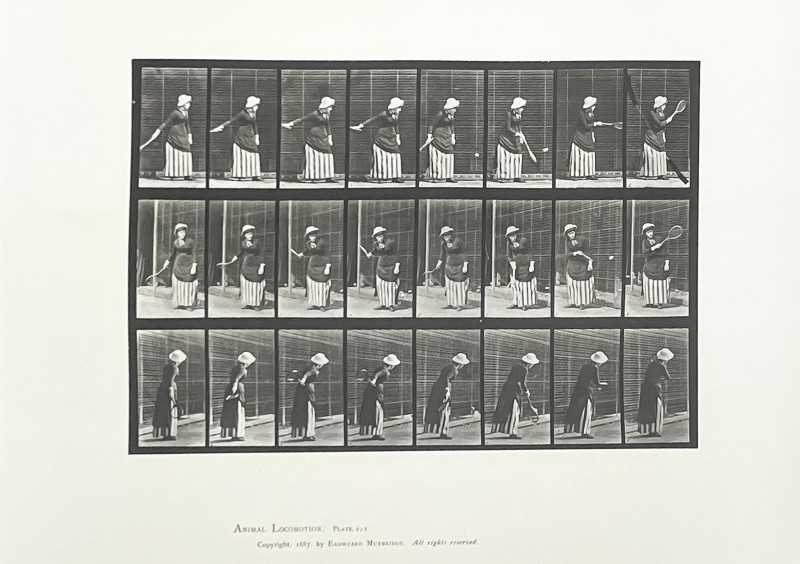 Eadweard Muybridge - Animal Locomotion (Plate 297 and Plate 299)