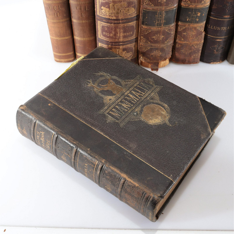 19th C. Leather Book Lot