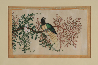 6 Persian Watercolors - Exotic Birds