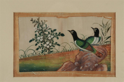 6 Persian Watercolors - Exotic Birds