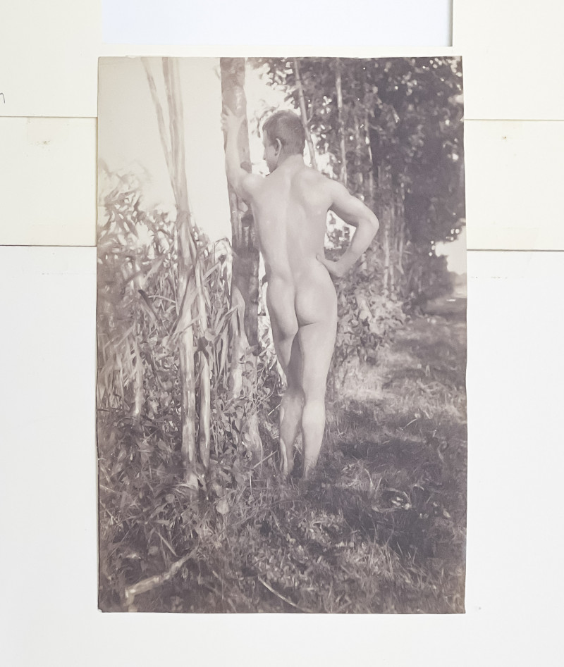 Unknown Artist - Standing Nude