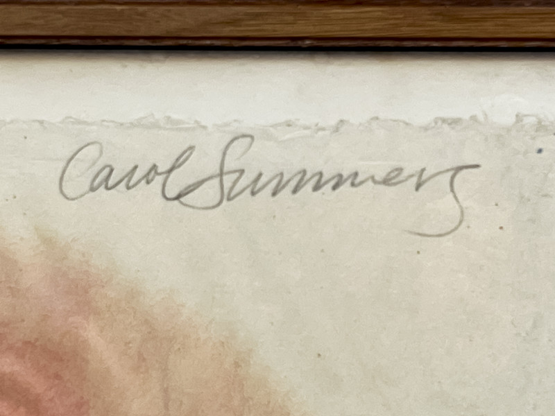 Carol Summers - Aetna's Dream