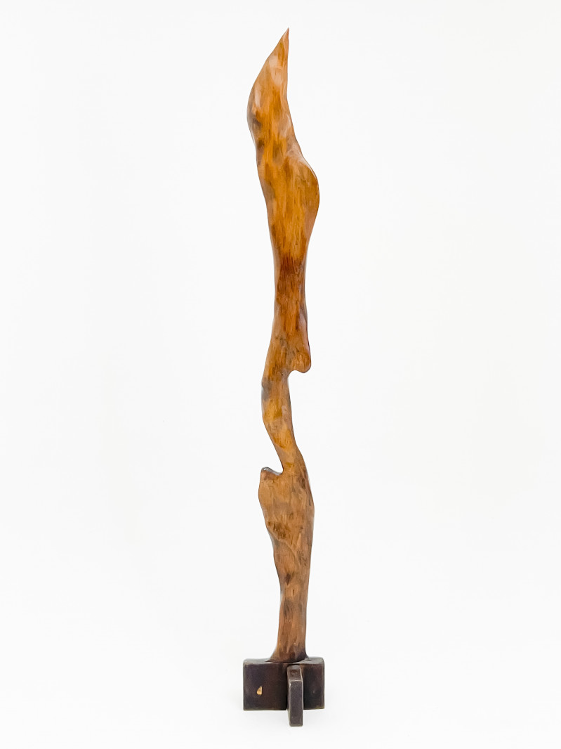 Marysole Worner Baz - Organic Wood Form