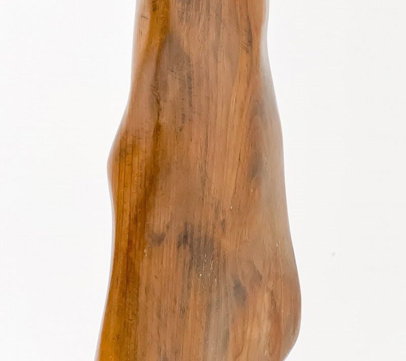 Marysole Worner Baz - Organic Wood Form