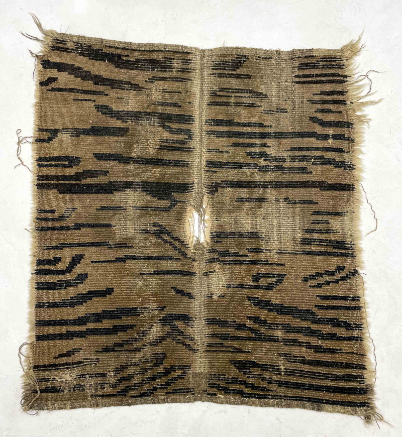 Tibetan Tiger Pelt Fragment