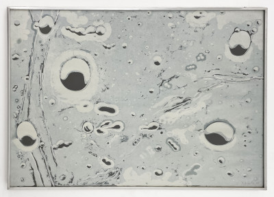 Lowell Nesbitt - Untitled (Lunar Craters)