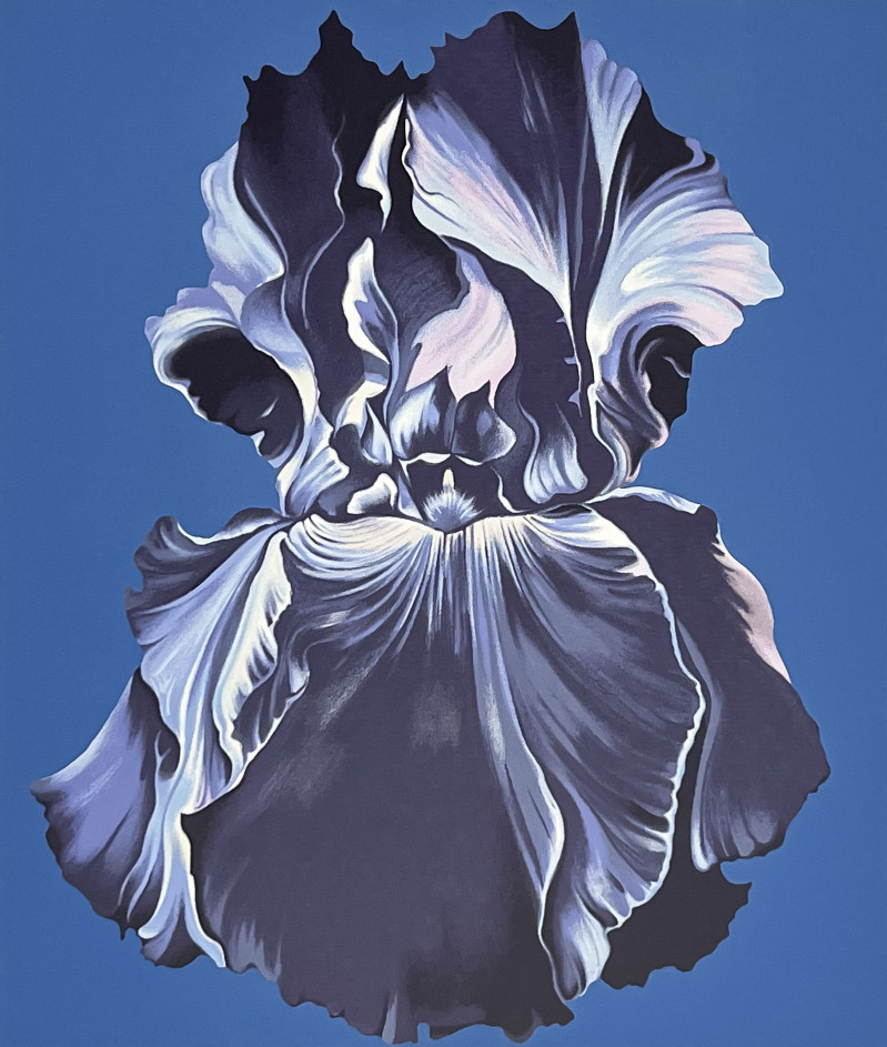 Lowell Nesbitt - Irises (4 Works)