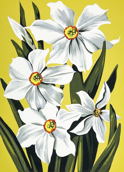 Lowell Nesbitt - 6 Large Floral Prints