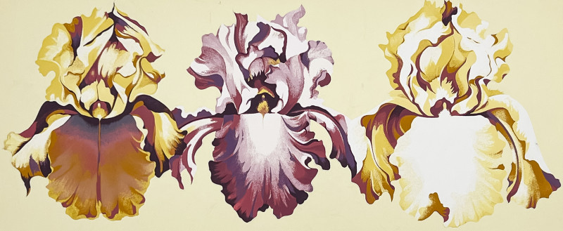Lowell Nesbitt - Three Irises on Yellow, Set of 4