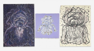 Lowell Nesbitt - Irises (3 Works on Paper)