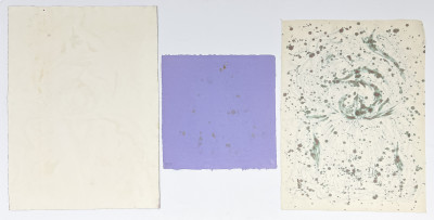 Lowell Nesbitt - Irises (3 Works on Paper)