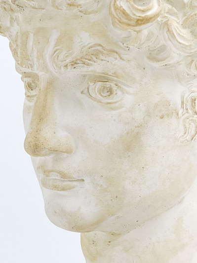 Classical Style Bust after Michelangelo's David
