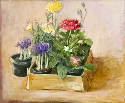 Unknown Artist - Still Life with Potted Flowers