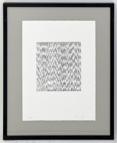 Tara Donovan - Untitled (Black and White Composition)