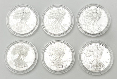 Silver Bullion Coins, Group of 6