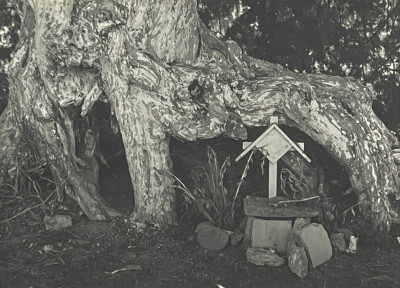 Image for Lot Manuel Álvarez Bravo - Untitled (Grave by Tree)