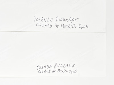 Yolanda Andrade - El Caballito Voladon / El Papalote (2 Works)