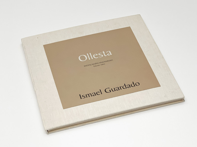 Ismael Guardado - Ollesta (Portfolio)