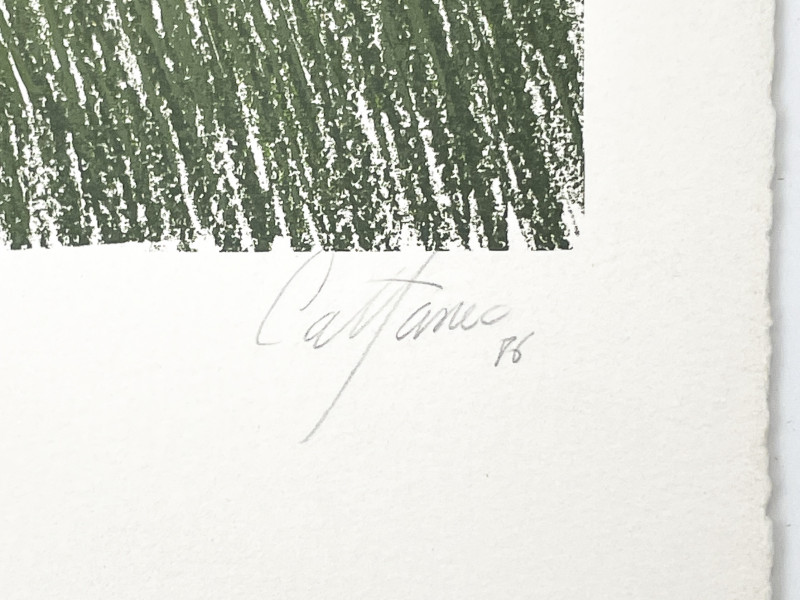 Enrique Cattaneo  - Colinas Verdes / Untitled (Trees) / Monclous  (3 Works)