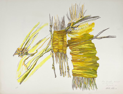 Marta Palau - Untitled (Branches)