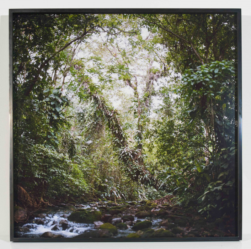 Mona Kuhn - Virgin Forest (from the Native series)