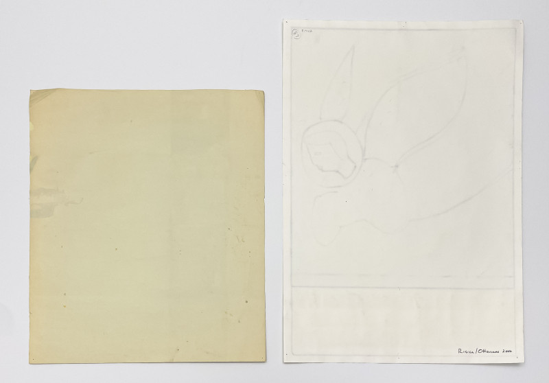 Jeanne Risica and Ronald Ottaviano - You think the heaviness will crush you. Well it doesn't. / Untitled (2 Works)