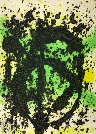 Joan Miró - Regne Vegetal