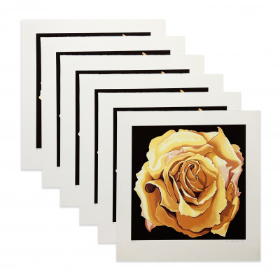 Image for Lot Lowell Nesbitt - Yellow Rose (6 Works)