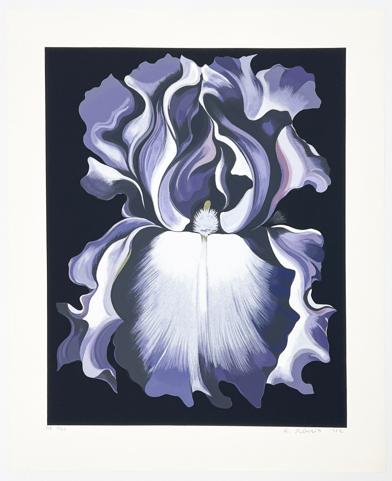 Lowell Nesbitt - White and Violet Iris / Pink Iris (7 Works)
