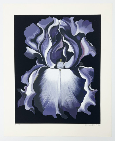Lowell Nesbitt - White and Violet Iris / Pink Iris (7 Works)