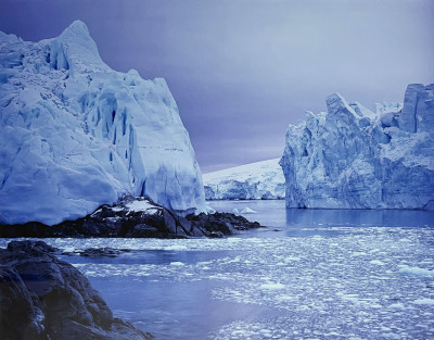 Image for Lot Jody Forster - Anvers Island, Antarctica