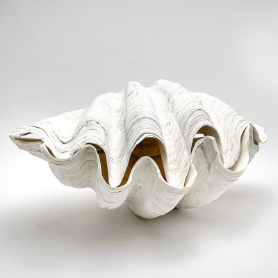 Image for Lot Giant Clam Shell